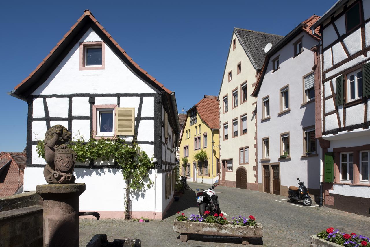 Burggarten Appartements Neuleiningen Exterior photo